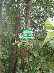 kliknutím fotku zvětšíte