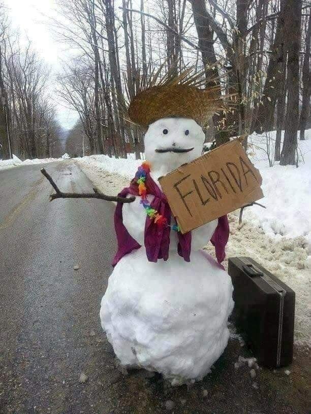kliknutím fotku zvětšíte