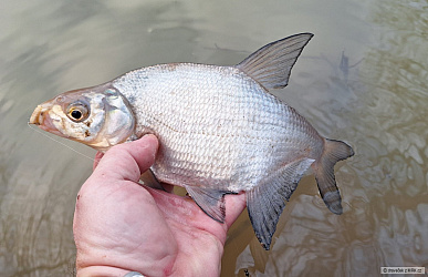kliknutím fotku zvětšíte