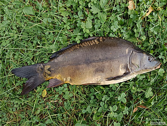 kliknutím fotku zvětšíte