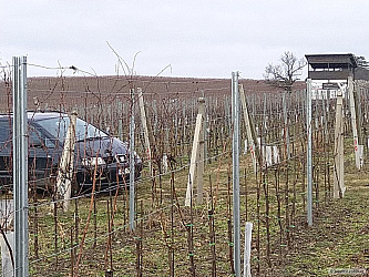 kliknutím fotku zvětšíte