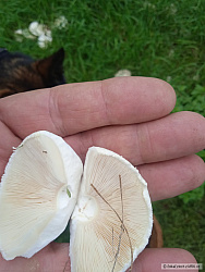kliknutím fotku zvětšíte