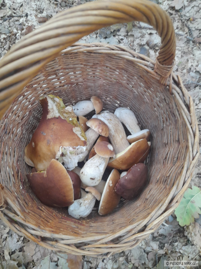 kliknutím fotku zvětšíte