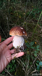 kliknutím fotku zvětšíte
