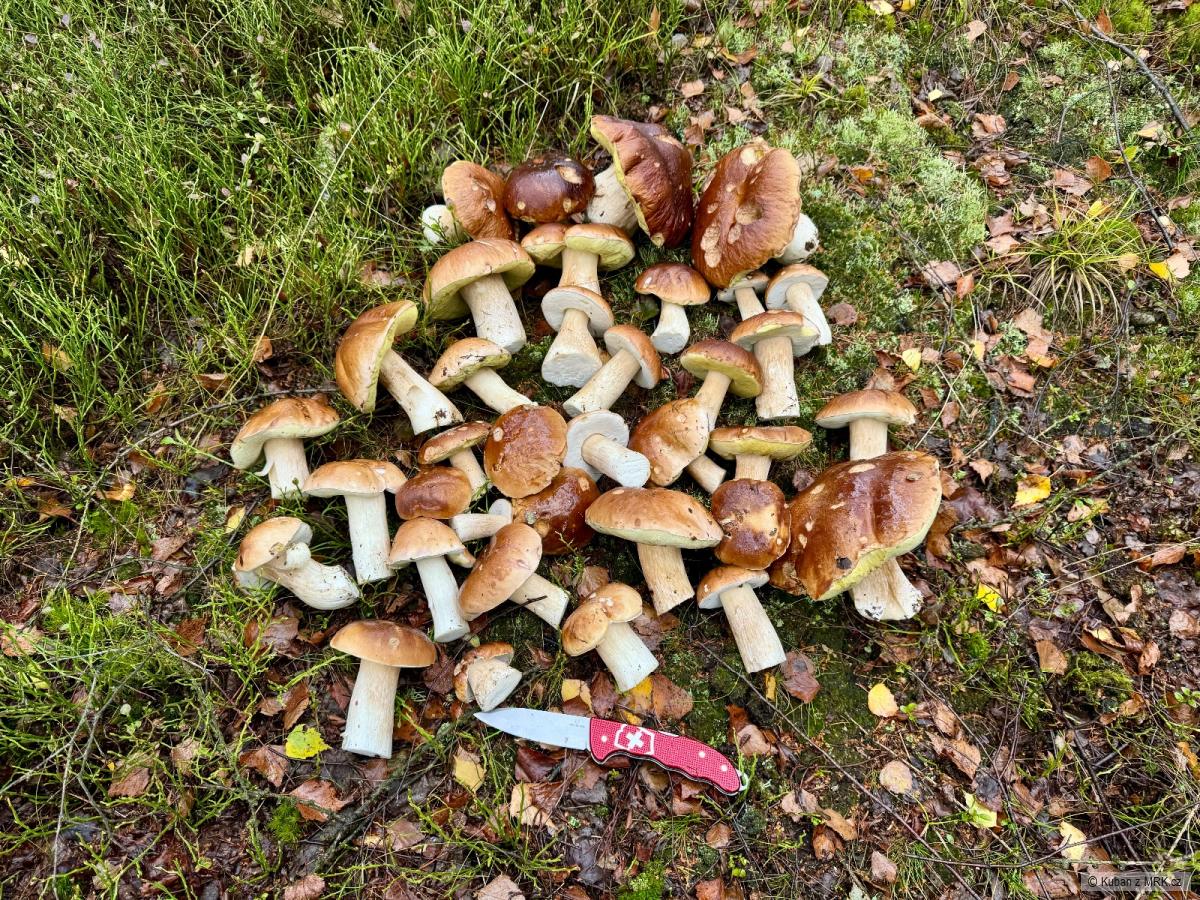kliknutím fotku zvětšíte