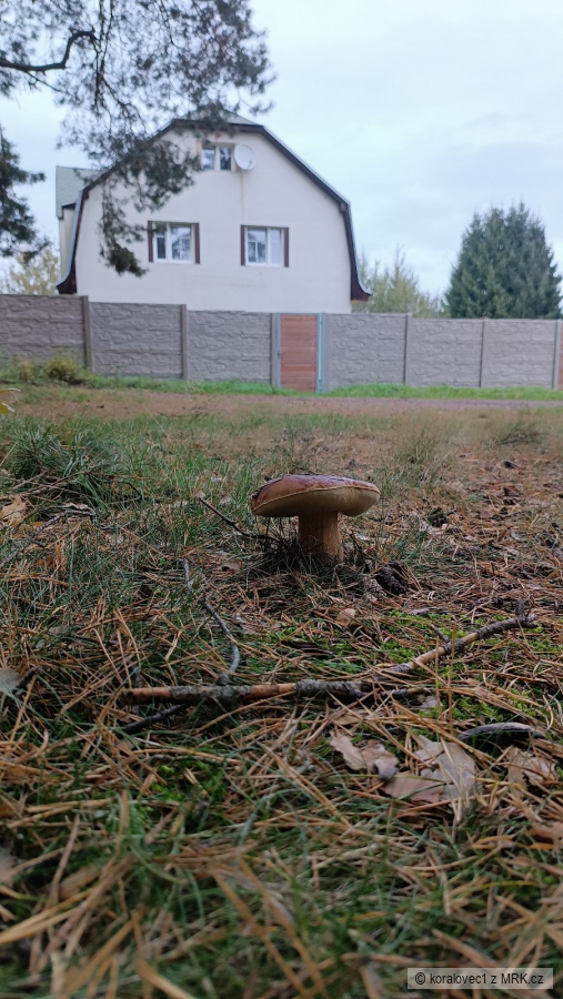 kliknutím fotku zvětšíte