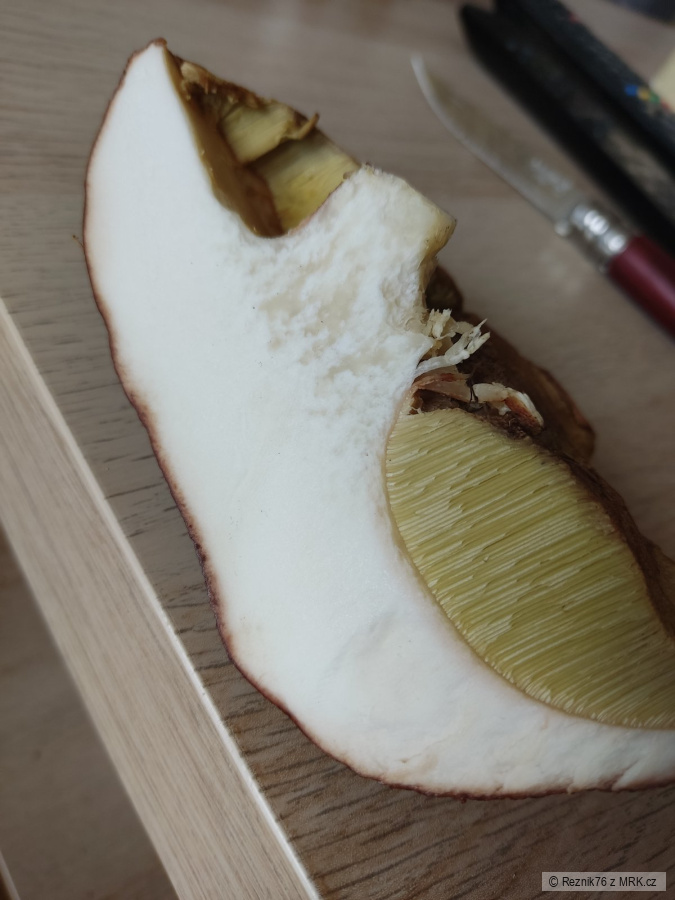 kliknutím fotku zvětšíte
