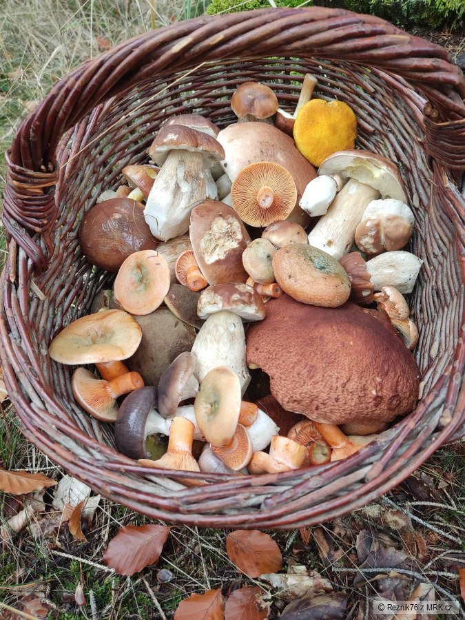 kliknutím fotku zvětšíte