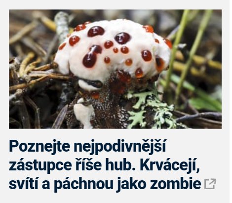 kliknutím fotku zvětšíte