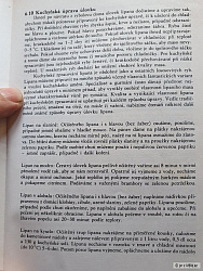 kliknutím fotku zvětšíte