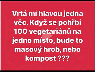 kliknutím fotku zvětšíte
