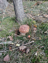 kliknutím fotku zvětšíte