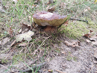 kliknutím fotku zvětšíte
