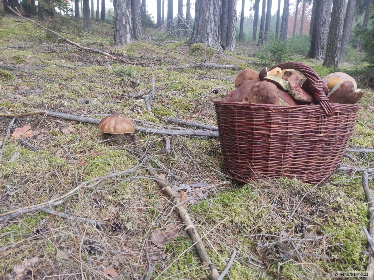 kliknutím fotku zvětšíte