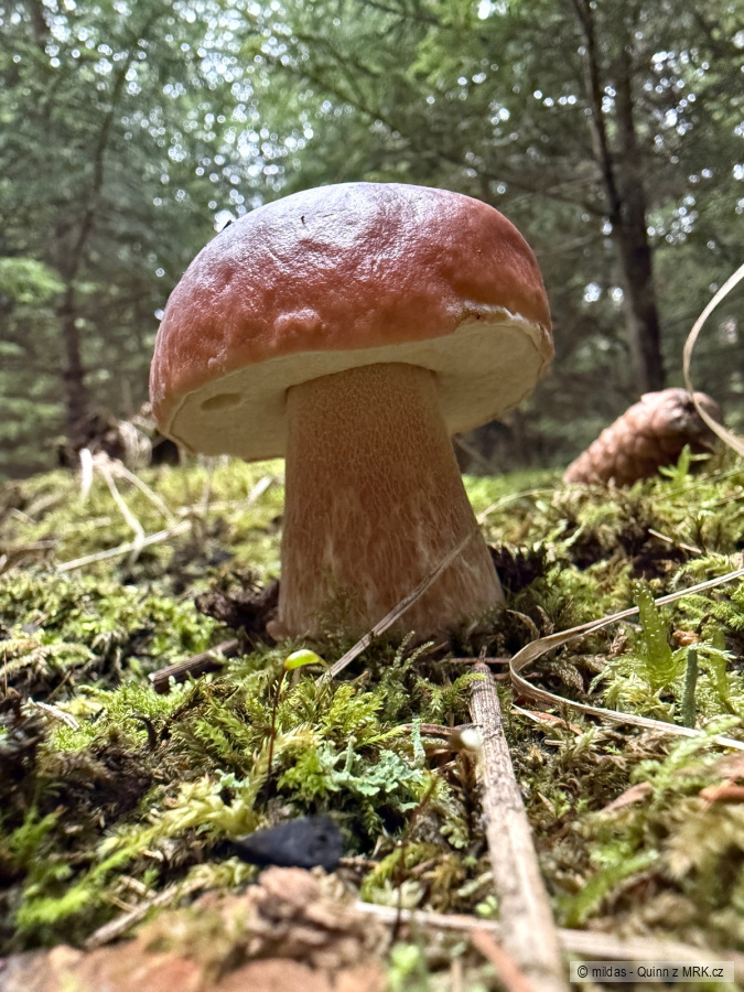 kliknutím fotku zvětšíte