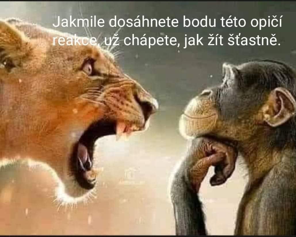 kliknutím fotku zvětšíte