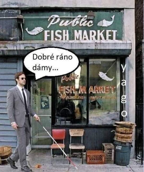 kliknutím fotku zvětšíte