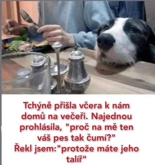 kliknutím fotku zvětšíte