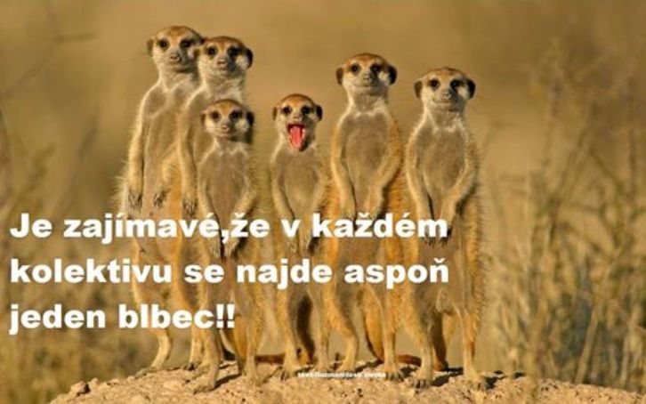 kliknutím fotku zvětšíte