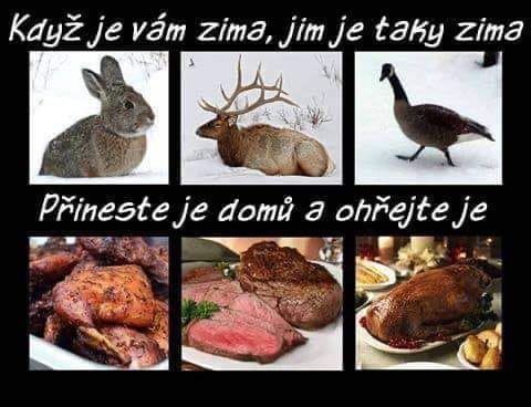 kliknutím fotku zvětšíte
