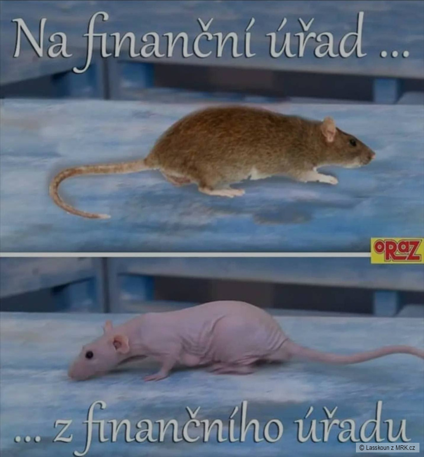 kliknutím fotku zvětšíte