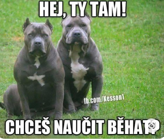kliknutím fotku zvětšíte