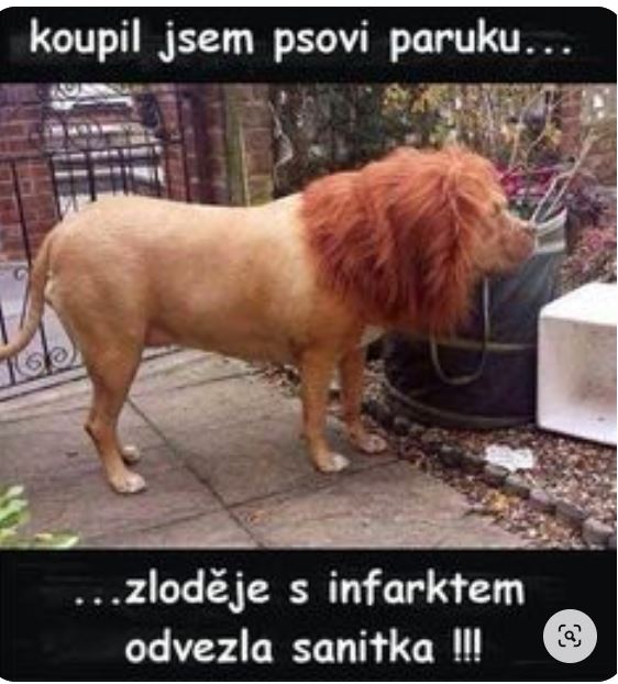 kliknutím fotku zvětšíte