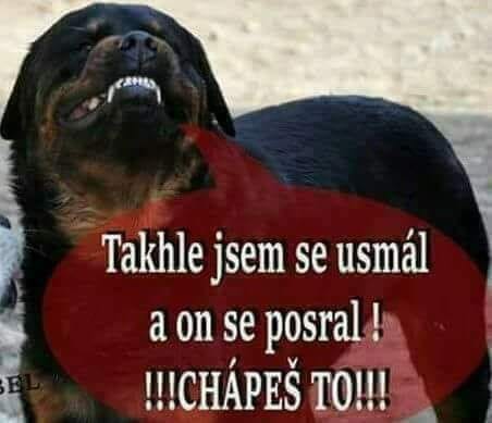kliknutím fotku zvětšíte