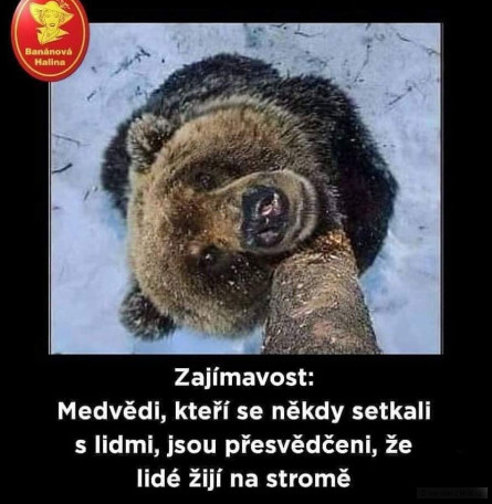 kliknutím fotku zvětšíte