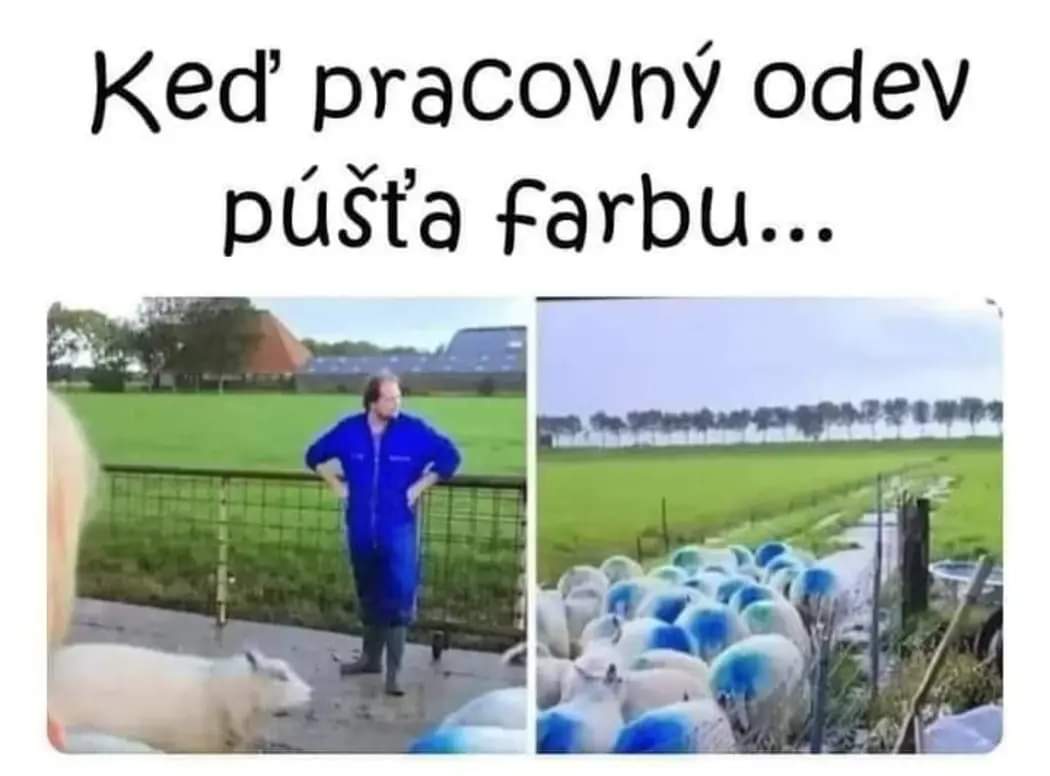 kliknutím fotku zvětšíte