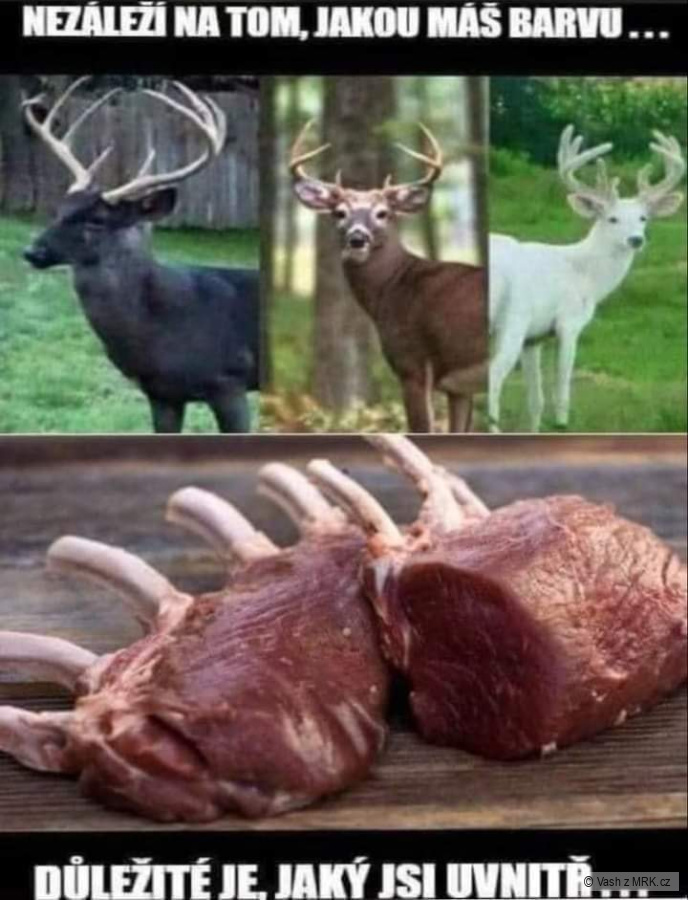 kliknutím fotku zvětšíte