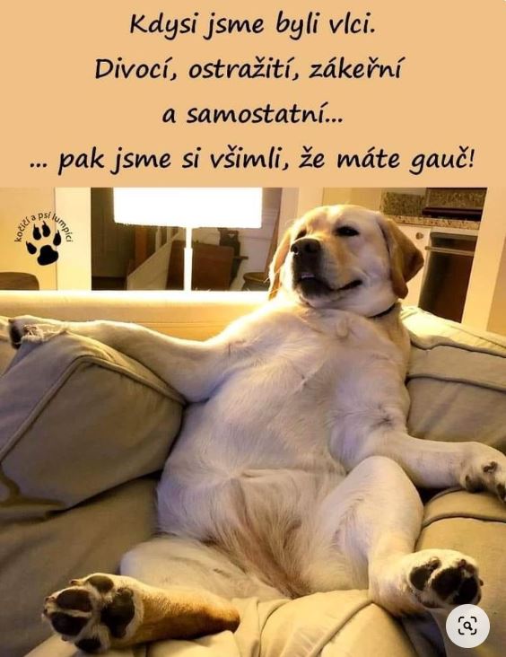 kliknutím fotku zvětšíte