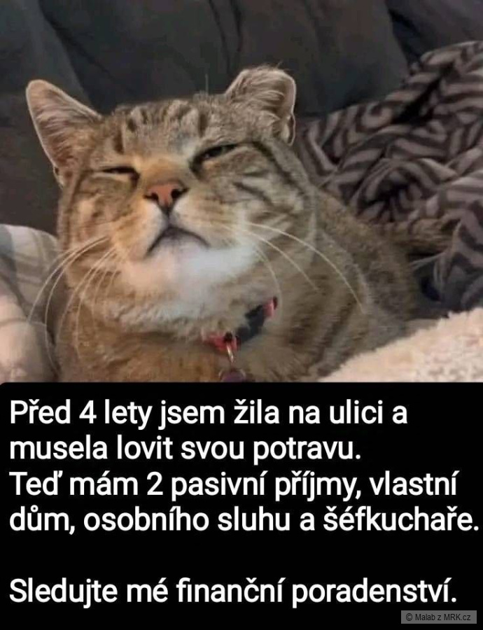 kliknutím fotku zvětšíte