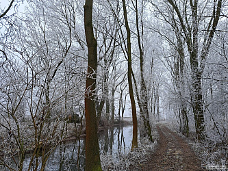 kliknutím fotku zvětšíte