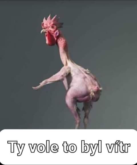 kliknutím fotku zvětšíte