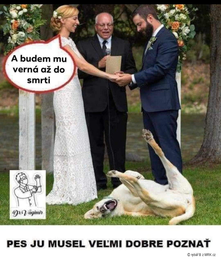 kliknutím fotku zvětšíte
