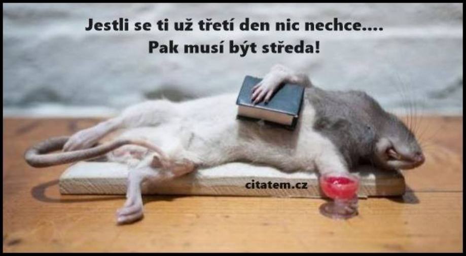 kliknutím fotku zvětšíte