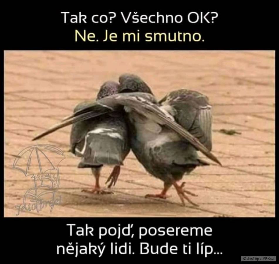 kliknutím fotku zvětšíte