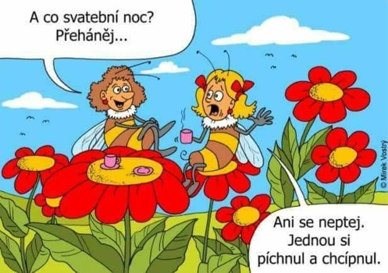 kliknutím fotku zvětšíte