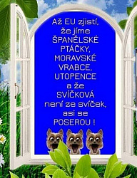 kliknutím fotku zvětšíte
