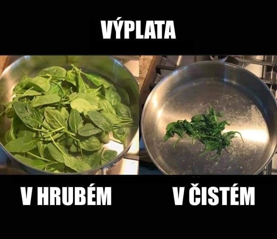 kliknutím fotku zvětšíte