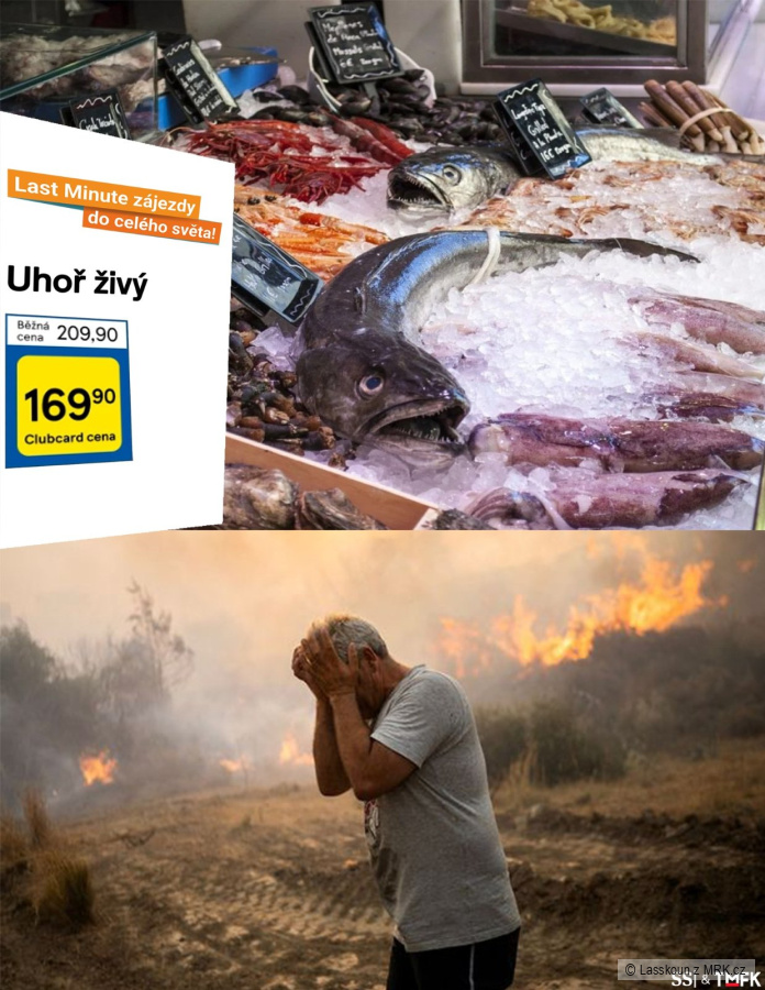 kliknutím fotku zvětšíte