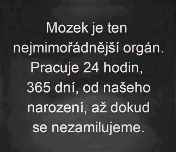 kliknutím fotku zvětšíte