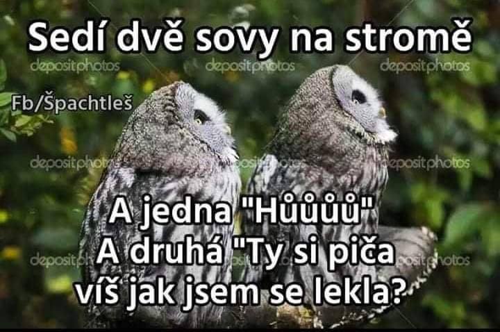 kliknutím fotku zvětšíte