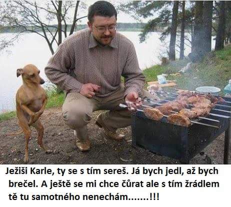 kliknutím fotku zvětšíte