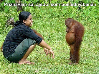 kliknutím fotku zvětšíte