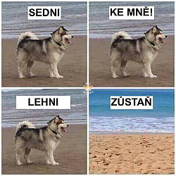 kliknutím fotku zvětšíte