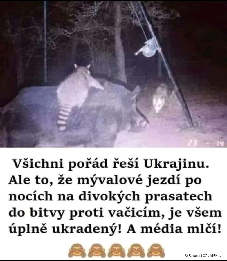 kliknutím fotku zvětšíte