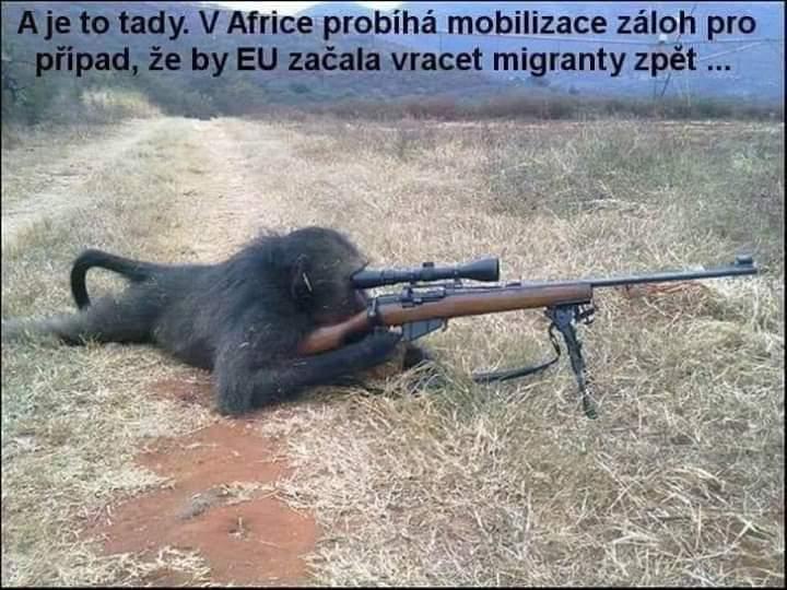 kliknutím fotku zvětšíte