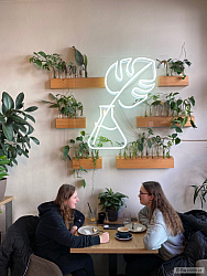 kliknutím fotku zvětšíte